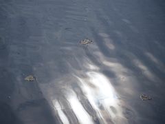 -重庆彩云湖湿地公园
