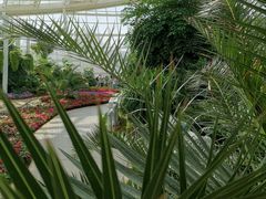 -石家庄市植物园