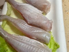 -锦城印象火锅(天府三街店)