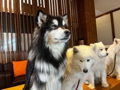 -长白山万达锦华套房酒店