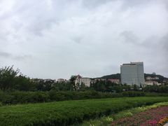 -汇泉广场