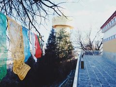 -漫香咖啡·云南小粒咖啡