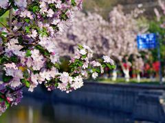 -海棠花溪(元大都城垣遗址公园)