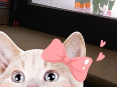 -奥斯卡西元国际影城(4K激光巨幕&杜比全景声沙发座椅)