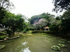 -火炉山森林公园