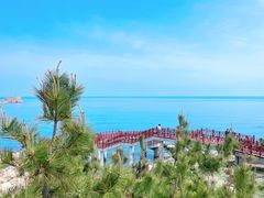 -养马岛旅游度假区