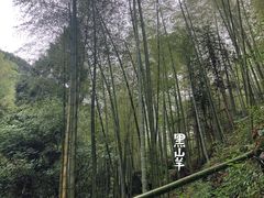 -藏龙百瀑风景区