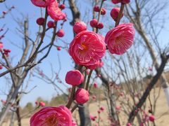 -郑和公园