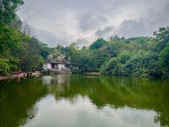 -深圳国际园林花卉博览园