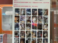 -三花喵·撸猫购宠·宠物生活馆(虹桥南丰城店)