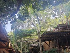 -海南槟榔谷黎苗文化旅游区