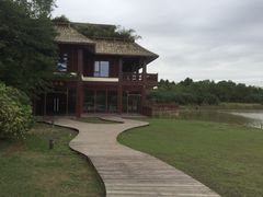 -东滩湿地公园观海楼餐厅