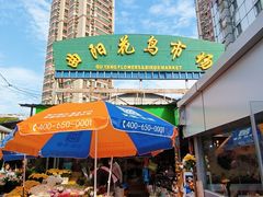 -曲阳花鸟市场(曲阳路店)