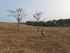 -良渚古城遗址公园