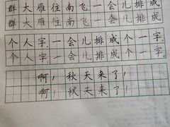 -赵汝飞练字硬笔书法(航头校区)