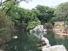 -昆明动物园