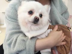 -怪兽屋·羊驼·猫咖·狗咖(俊华广场店)