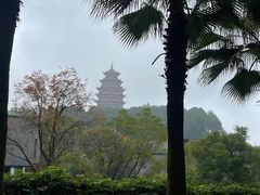 -铁山坪森林公园