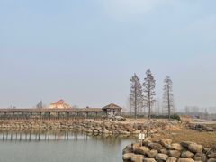 -池杉湖湿地公园