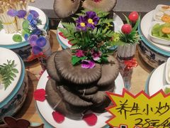 -鸽子窝(宋庄店)