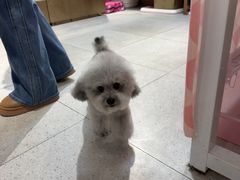 -FAELING PETS美天灵宠物(富力广场店)
