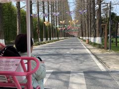 -黄海国家森林公园