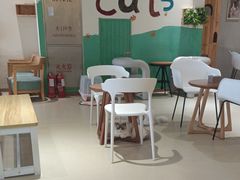 -藏猫猫咖啡主题馆(中央大道店)