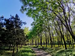 -东郊湿地公园