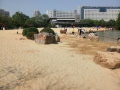 -青枫公园