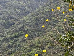-梧桐山风景名胜区