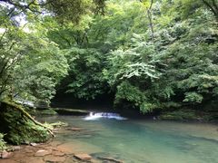 -黎坪国家森林公园