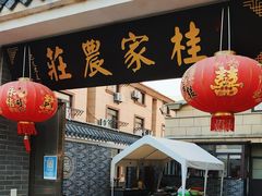 -东康桂家农庄