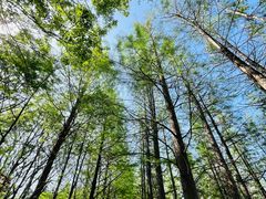 -云龙湖旅游景区