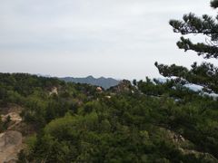 -六里坪国家森林公园