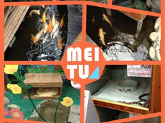 upload_pic-上海大自然野生昆虫馆