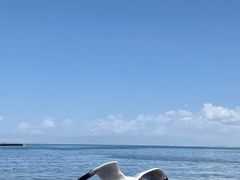 -青海湖二郎剑景区