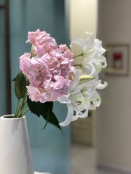 -MissParis·DandyHouse日本直营美容店蜜丝芭莉丹邸好士