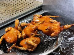 -羽鸽集·乳鸽专门店·地道顺德菜(岭南站店)