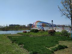 -南汇新城城市公园