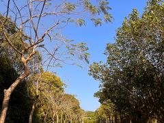 -凤岗南门山森林公园
