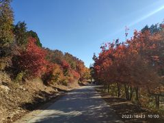 -北京西山国家森林公园