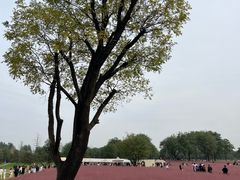 -汉长安城未央宫国家考古遗址公园