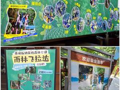 -西双版纳原始森林公园