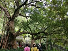 -乌山风景区