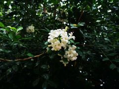 -福建师范大学(仓山校区)