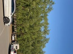 -北京群众马术培训基地