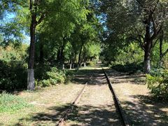 -永定河休闲森林公园