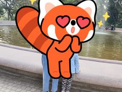 -九龙公园