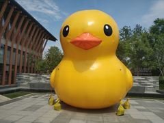 -思念果岭悦温泉