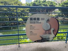 -九龙公园